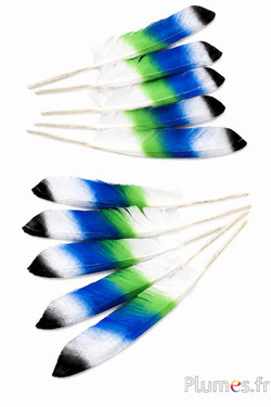 Gans - 24-28 cm - wit-groen-blauw-zwart